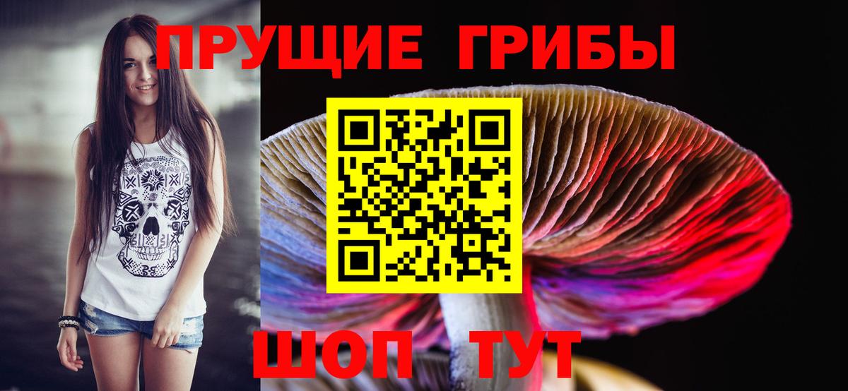 Уварово  купить наркотик  Вход с VPN  Галлюциногенные грибы Psilocybine cubensis 
